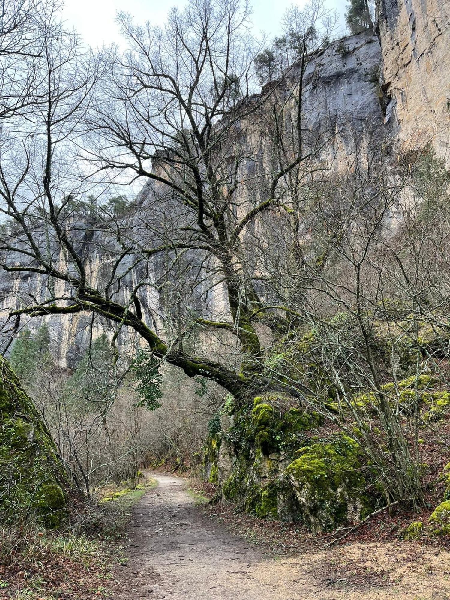 Hostal Rural Amador Puente de Vadillos Kültér fotó